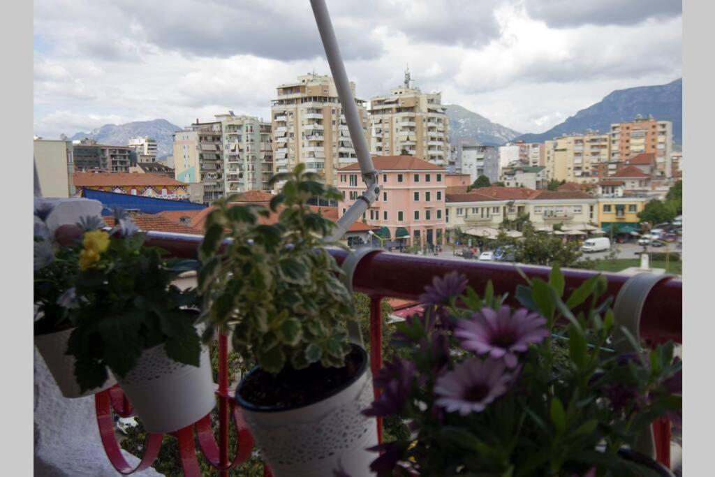 "Tata'S New Home!" Tirana Extérieur photo